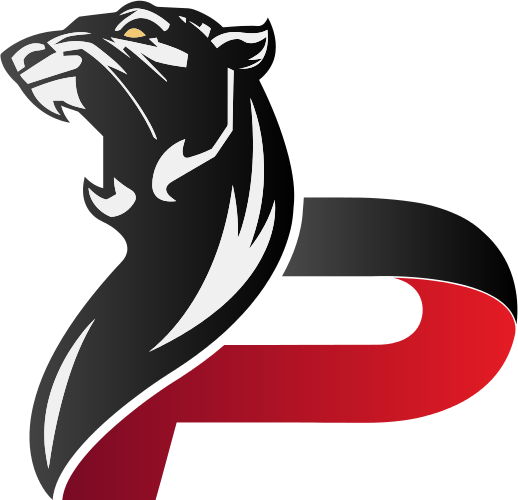 Global Offensive Counter Strike - Panthers Gaming Cs Go Logo (518x500)