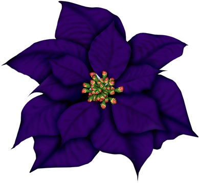 0 132fe6 80f06896 Orig - Color (400x374)