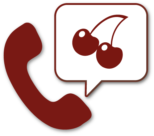 Bail Bonds Process Step - Bail Bondsman (499x440)