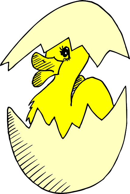 Baby, Drawing, Bird, Duck, Egg, Hatching, Hatch - Duck (429x640)