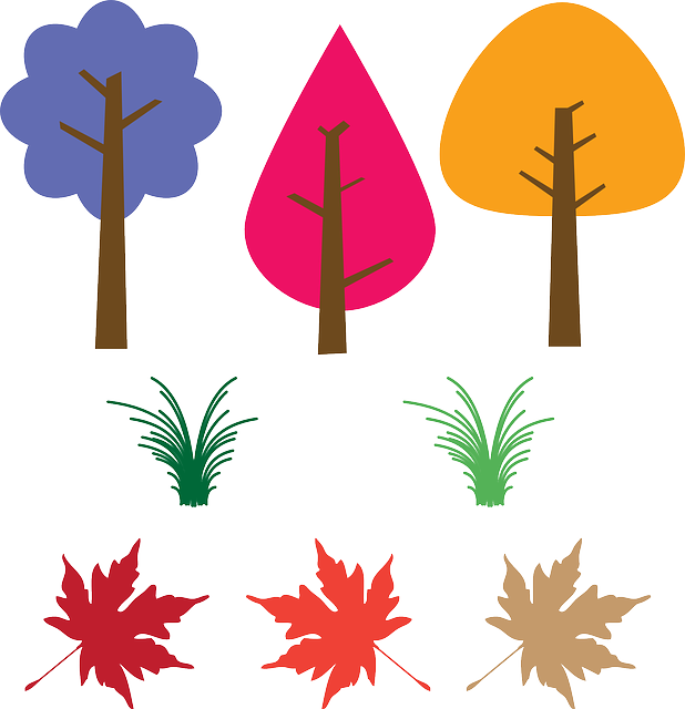 Outside, Grass, Summer, Trees, Leaves, Outdoors - Fall Leaves Clip Art (618x640)
