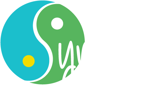 Physical Therapy St - Synergy Sports Medicine And Fitness (550x335)