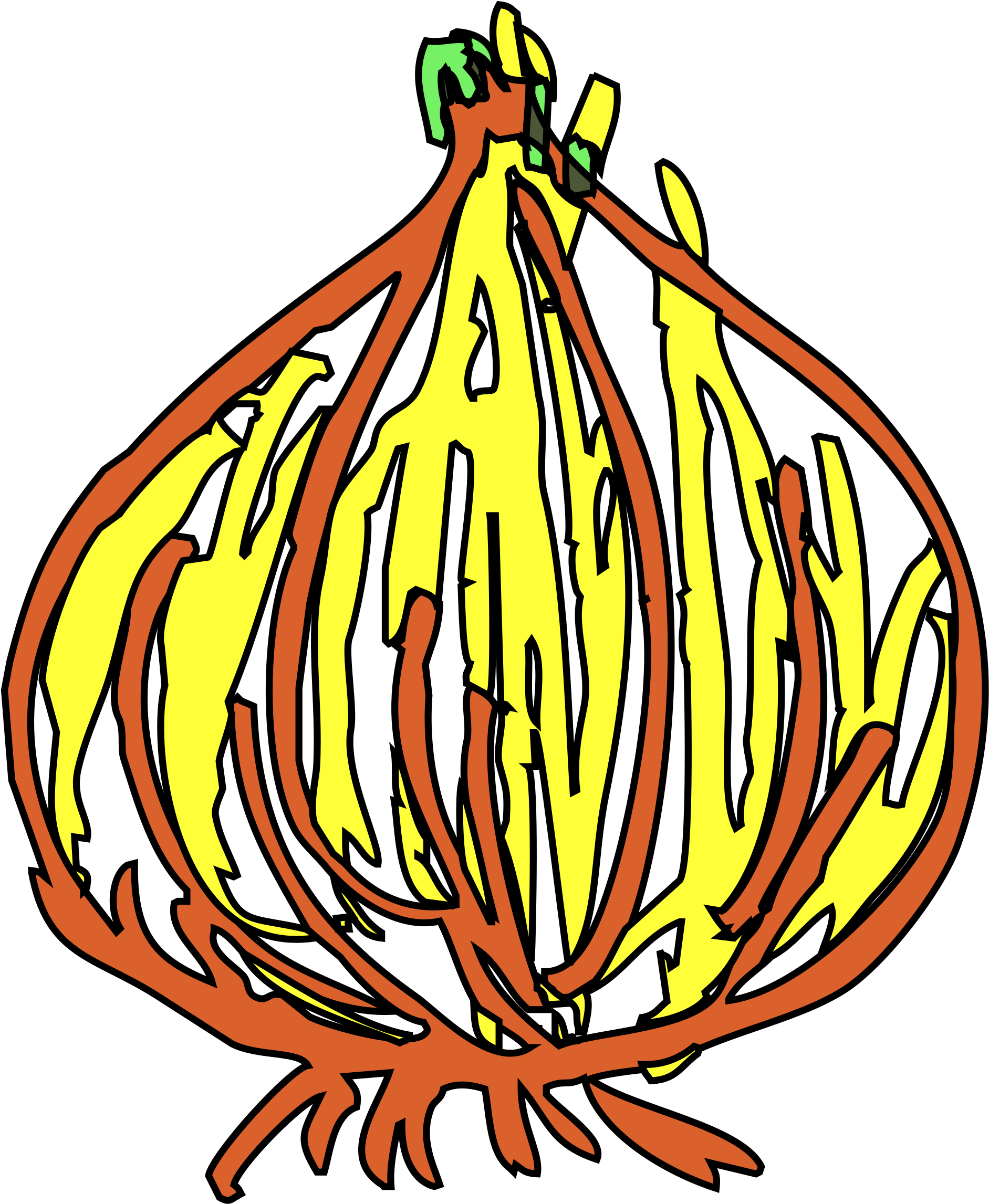 Onion Png - Clip Art (2159x2400)