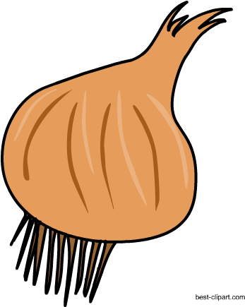 Onion Clip Art Free - Clip Art (450x450)