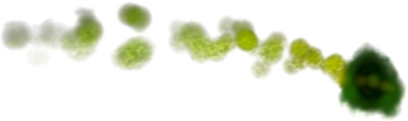 Green Fire Png - Green Fire Gif Png (851x283)