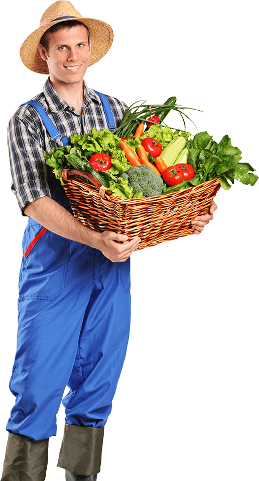 Farmer - Vegetable Farmer Png (516x956)