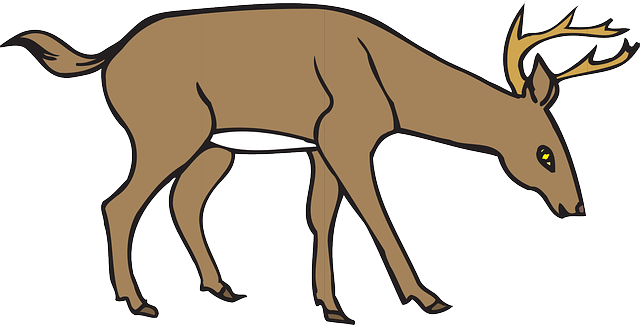 Animal Deer, Down, Wild, Leaning, Forest, Eating, Animal - Deer Eating Grass Clipart (640x325)