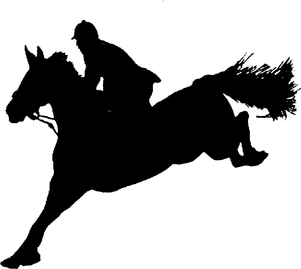 Local/unrecognized Shows Are Shows Operated On A Local - Jumping Horse Silhuet Transparent (992x890)