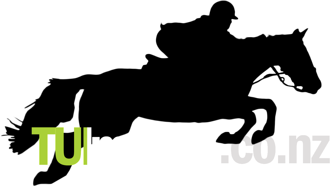 Jumping Horse (1598x945)