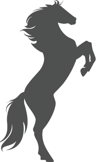 Contact - Rearing Horse Silhouette (328x554)