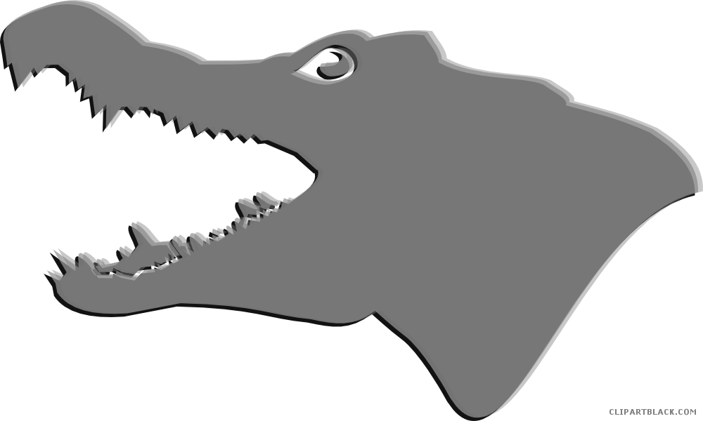 Alligator Head Animal Free Black White Clipart Images - Portable Network Graphics (1000x600)