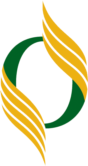 Orangewood Academy - Orangewood Academy Logo (482x615)