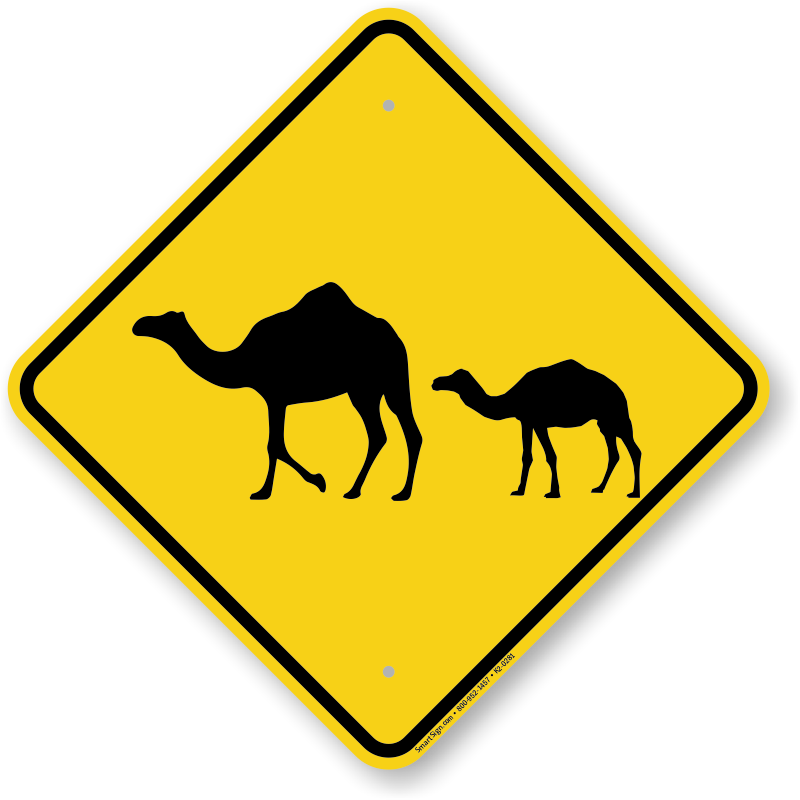 Camel With Calf Crossing Sign - Turtle Crossing Road Sign (800x800)