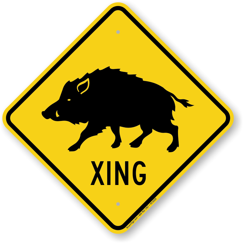 Deer Xing Sign For Kids - Australian Road Sign Koala (800x800)