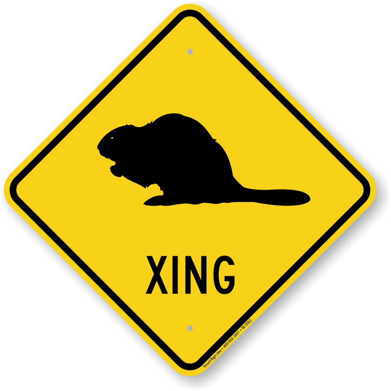 Beaver Xing Road Sign - Australia Road Sign (800x800)