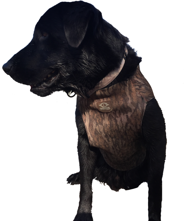 Neoprene Dog Vest Mossy Oak Blades Gator Outfitter - Labrador Retriever (768x1024)