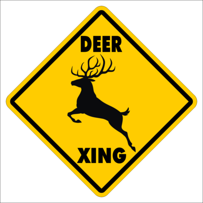 Deer Crossing~funny Novelty Xing Gift Sign - Wild Turkey Crossing Street (400x400)