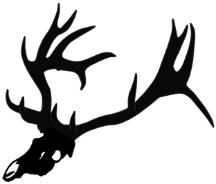 Arizona's Number 1 Preferred Outfitter - Silhouette (429x340)