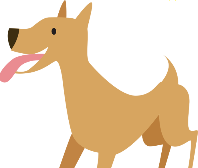 X - Pinscher (692x586)