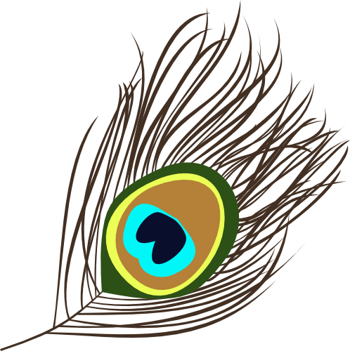 Peacock Feather Transparent - Peacock Feather Vector Png (498x500)