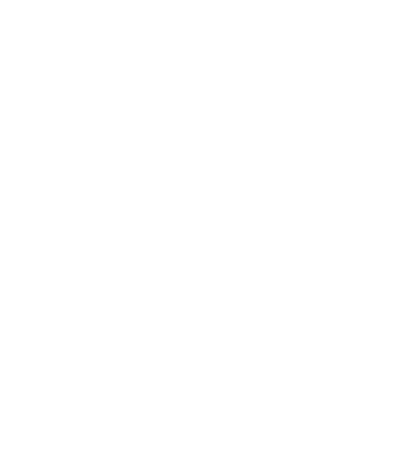 Toilet Paper/bath Tissue - Toilet Paper (970x1083)