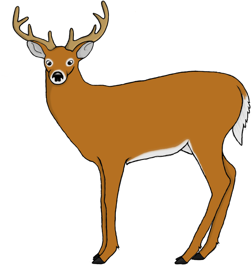 Deer V2 Deer Vs3 - Deer (1000x1000)