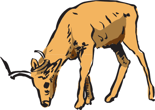 Christmas Clipart Deer Eating - Deer Eating Clipart (600x424)