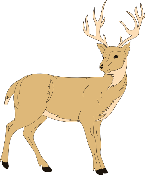 Deer (498x598)