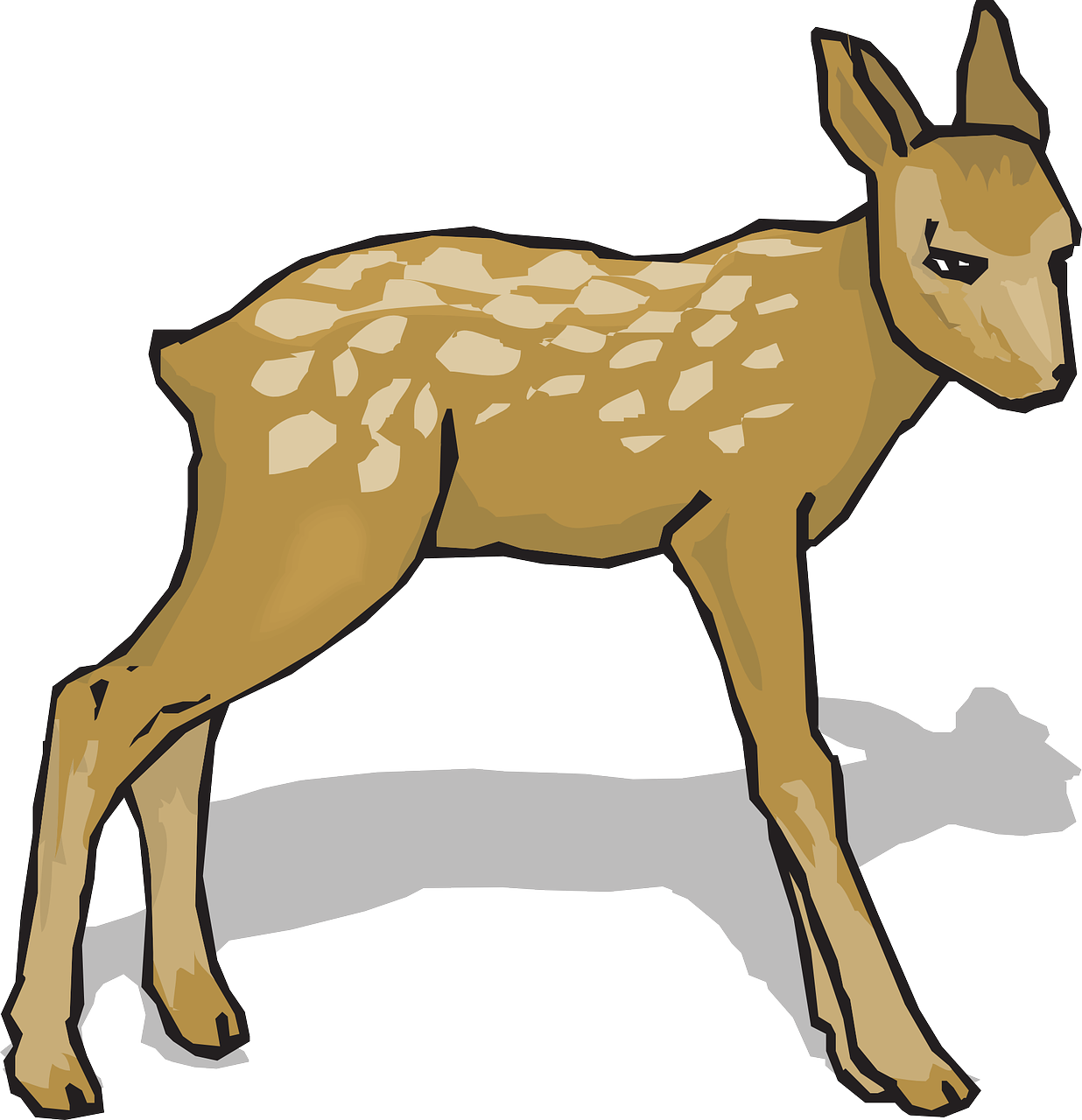 Fawn Animal Deer Nature Png Image - Do Re Mi Song Flash Cards (1236x1280)