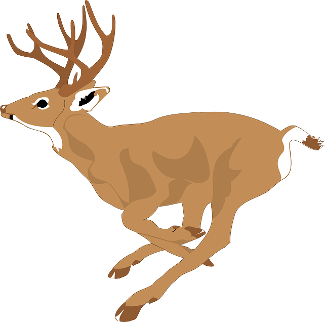 View, Deer, Run, Side, Forest, Leaping, Animal, Fast - Deer Running Clipart (640x636)