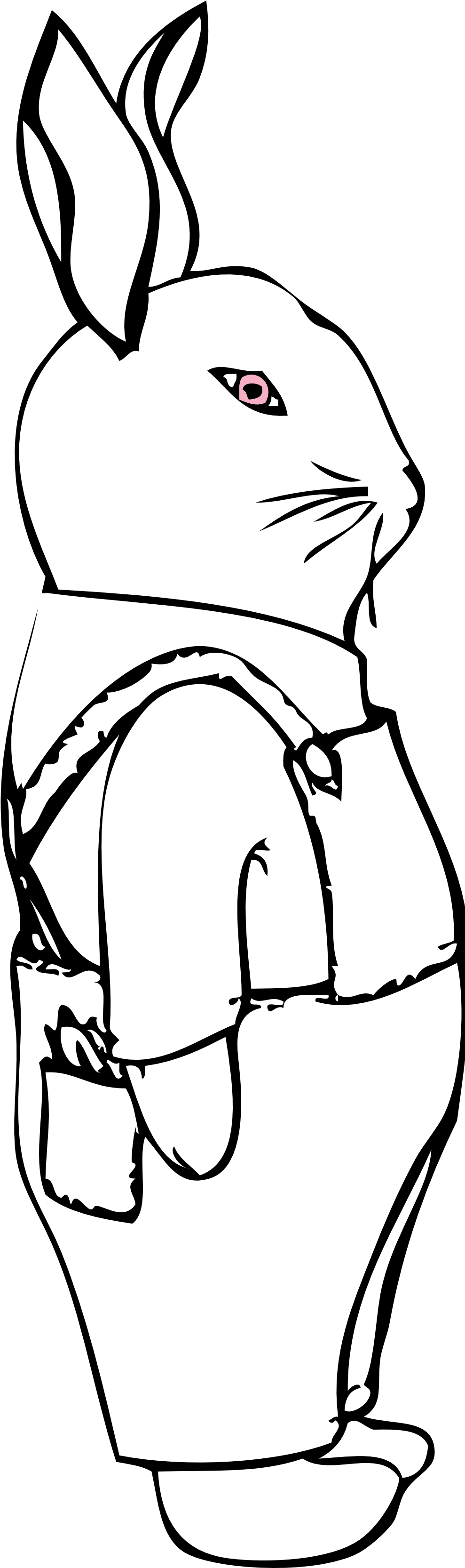 Bunny In Overalls Black White Line Art 999px 212 - Coloring Book (999x3331)