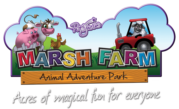 Remember The 5th Of November Clip Art - Marsh Farm South Woodham Ferrers (600x365)