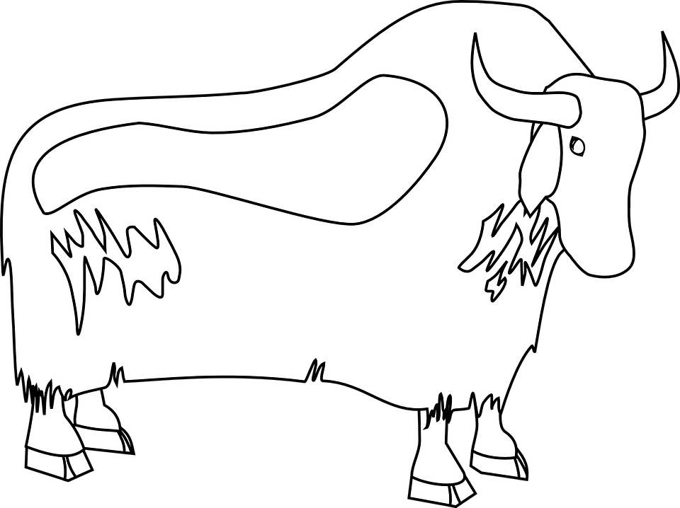 Oxen Clipart - Clipart Library - Yak Clipart Black And White Png (960x718)