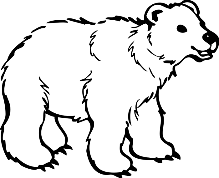 White Bear - Black And White Bear Png (700x570)