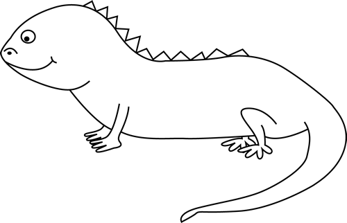 Iguana Clipart Black And White - Iguana Black And White (500x322)