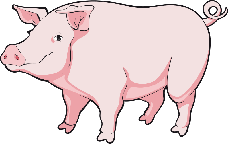 Free To Use Public Domain Pig Clip Art - Realistic Pig Clipart (800x506)