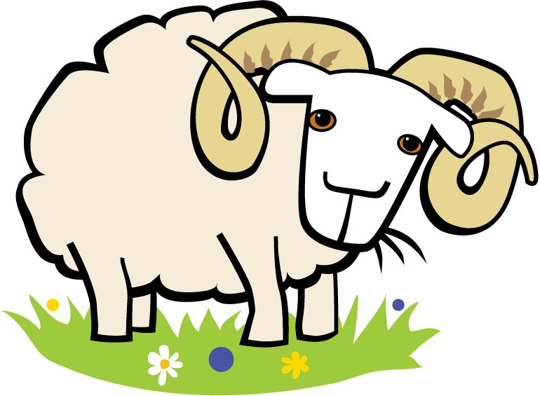 Lots Of Positive Responses From Our Sheepwatchers Today - Kambing (770x565)