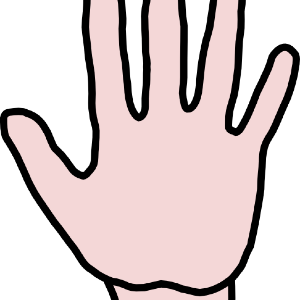 Free Clipart Hands Camera Clipart Hatenylo Com Rh Hatenylo - Clip Art (1024x1024)