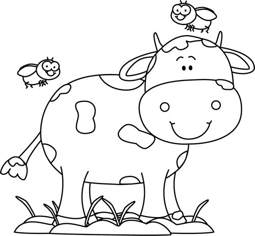 Black And White Cow In The Mud With Flies - White (500x463)