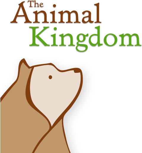 The Animal Kingdom - The Animal Kingdom (518x586)