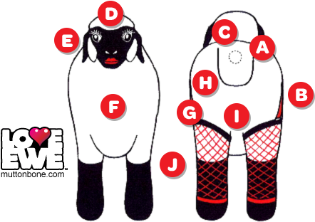 Another Love Ewe Blow Up Sheep Features Diagram - Blow Up Sheep Sex (455x321)