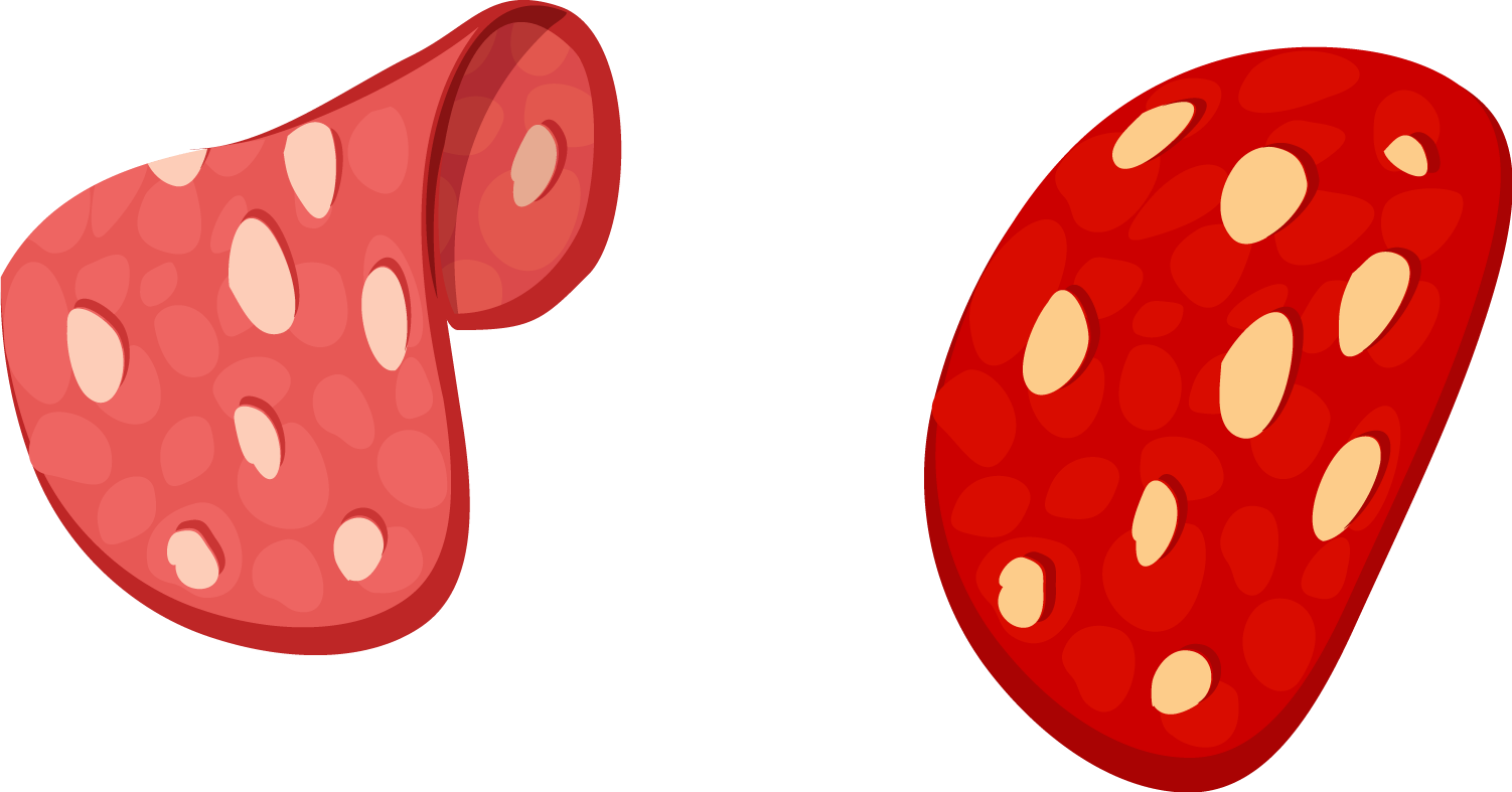 Ham Food Meat - Ham Food Meat (1502x787)