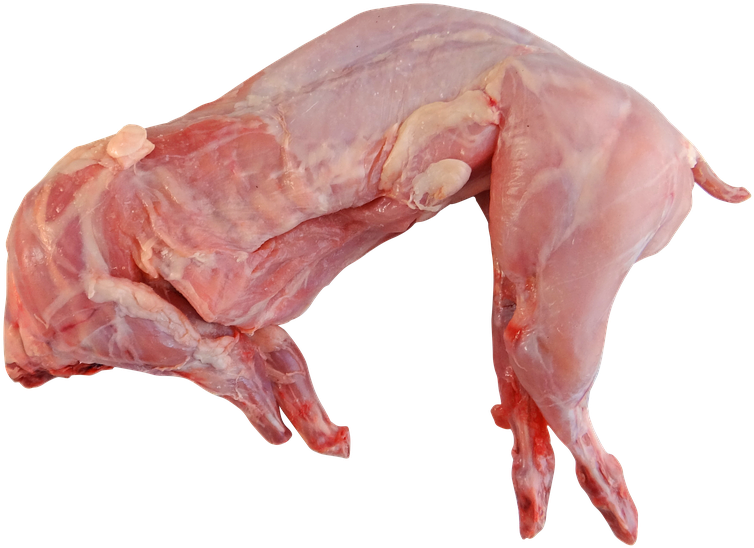 Meat Png 13, Buy Clip Art - Rabbit (856x720)