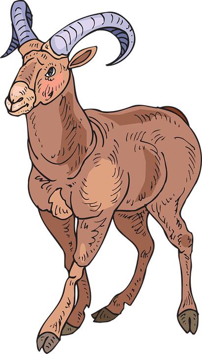 Sheep Clipart Walking - Big Horn Sheep Clipart (411x720)