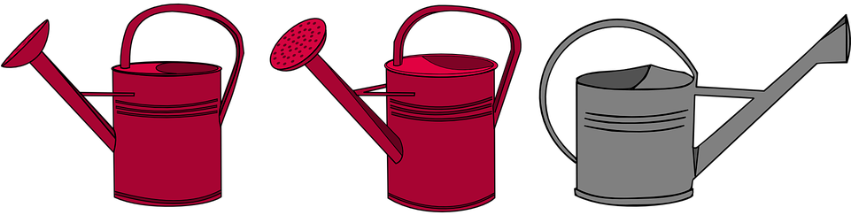 Meat Raffle Cliparts - Watering Can Clip Art (960x480)
