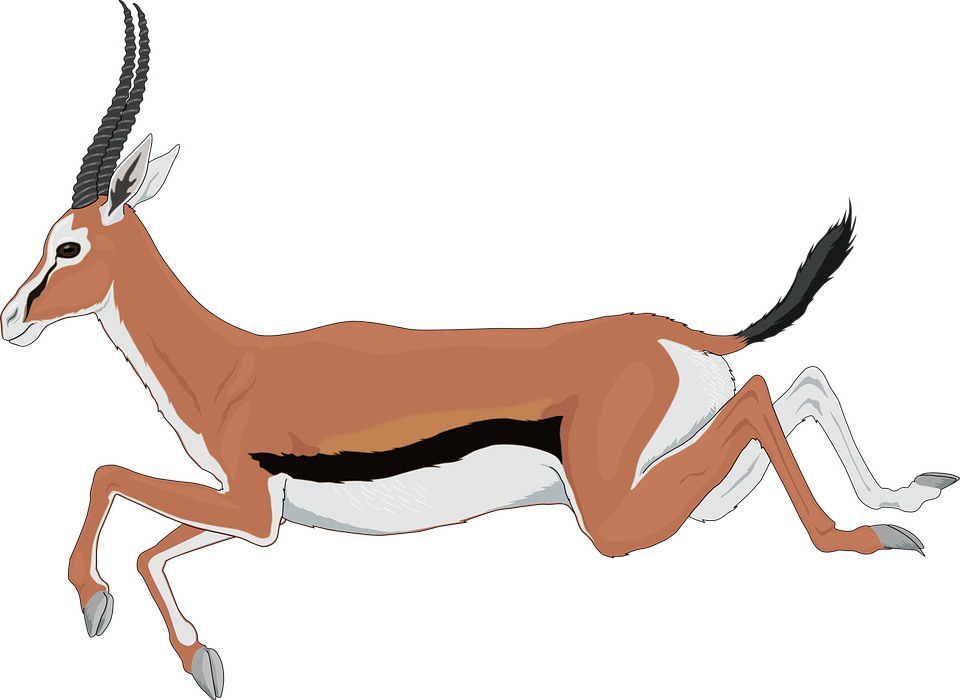 Antelope Clipart (960x700)