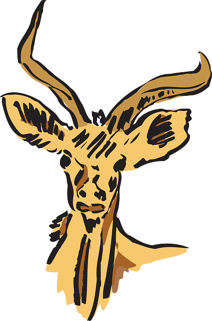 Antelope Head Clipart - Clip Art (424x640)