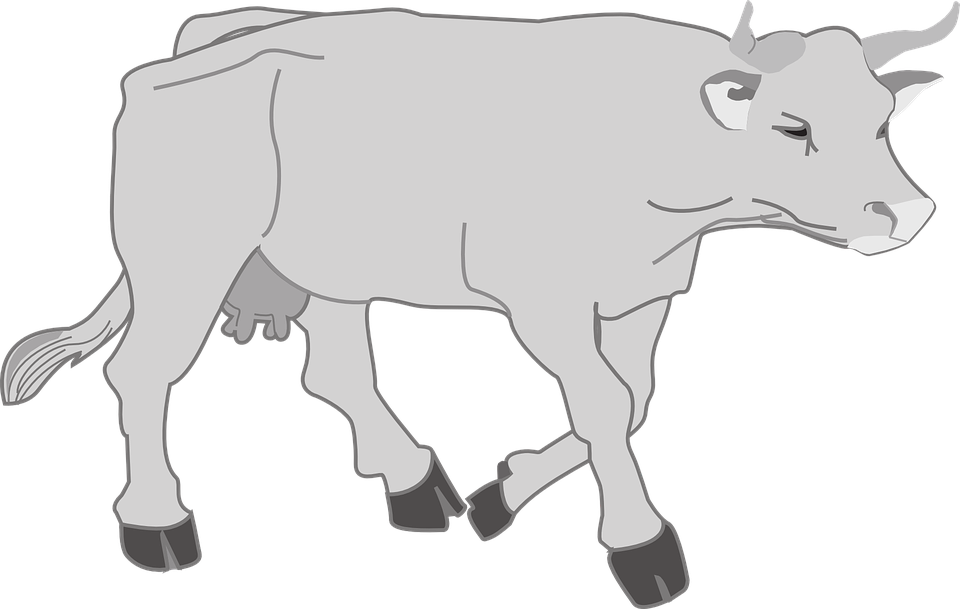Animated Goats Cliparts 19, - Walking Cow Png (960x609)