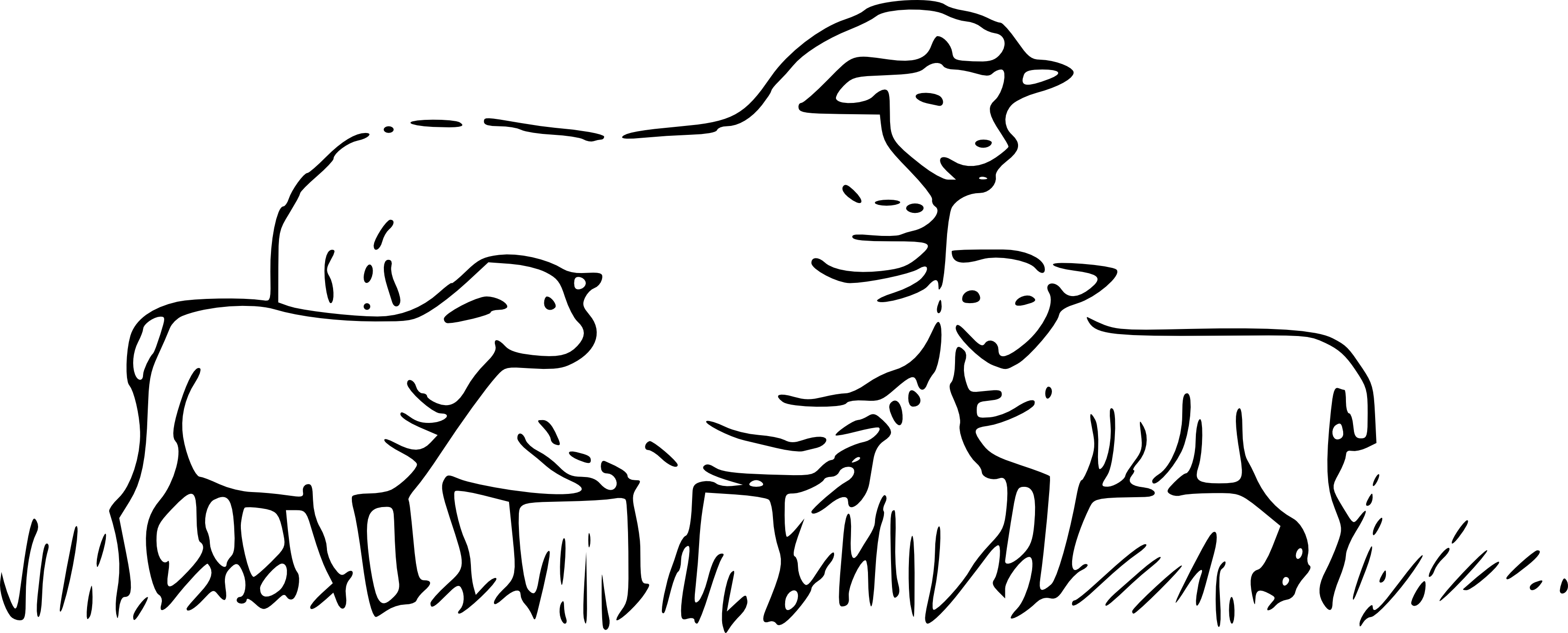 Black And White Sheep Clipart Clipart Best 8vaj8v Clipart - Sheep Black And White (3333x1347)