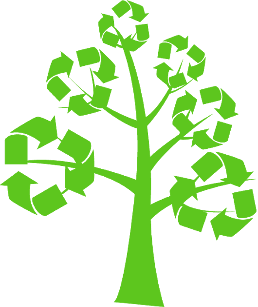 Photo - Public Libraries Going Green By Kathryn Professor Miller (530x629)